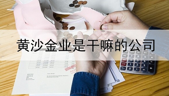 黄沙金业是干嘛的公司