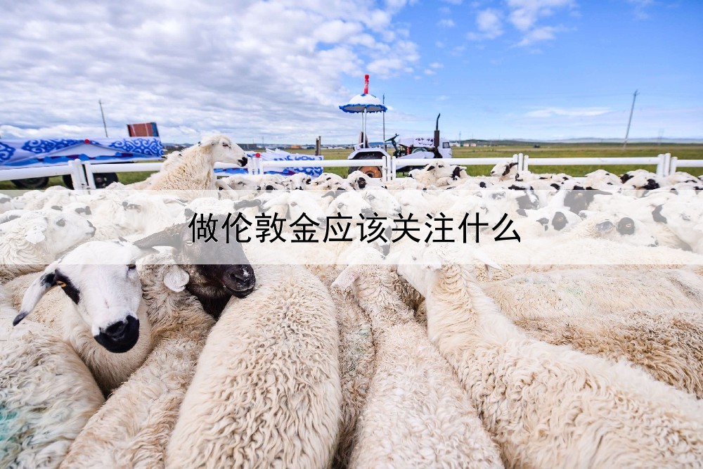  做伦敦金应该关注什么