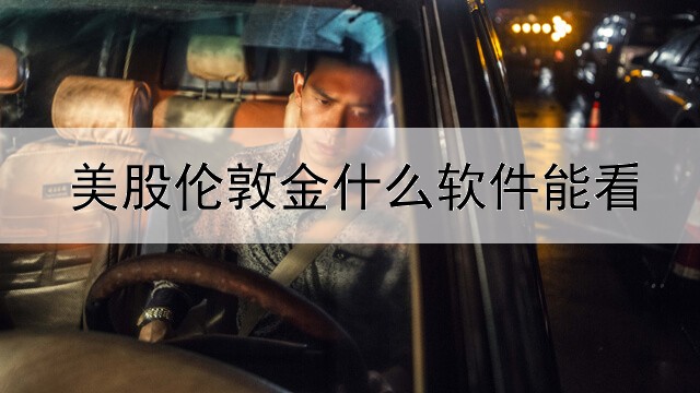  美股伦敦金什么软件能看