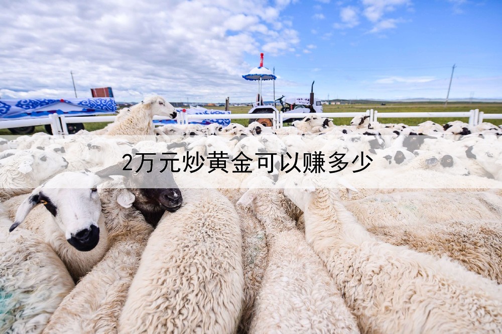  2万元炒黄金可以赚多少