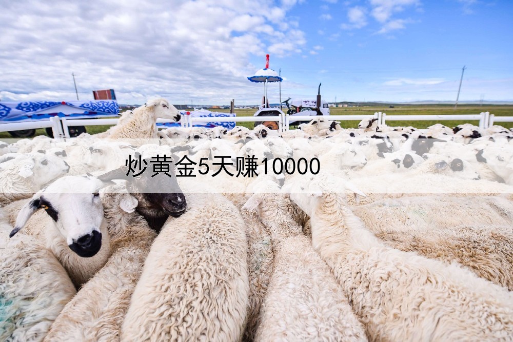 炒黄金5天赚10000