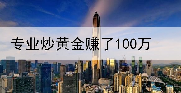  专业炒黄金赚了100万