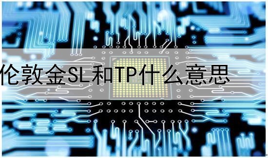  伦敦金SL和TP什么意思