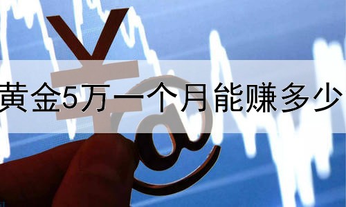  炒黄金5万一个月能赚多少钱