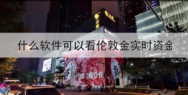 什么软件可以看伦敦金实时资金