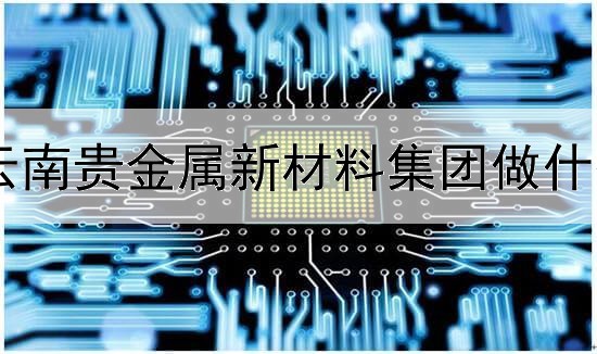  云南贵金属新材料集团做什么