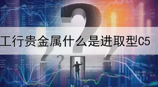 工行贵金属什么是进取型C5