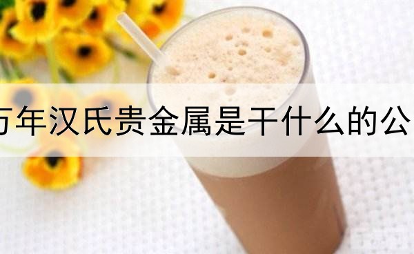  万年汉氏贵金属是干什么的公司